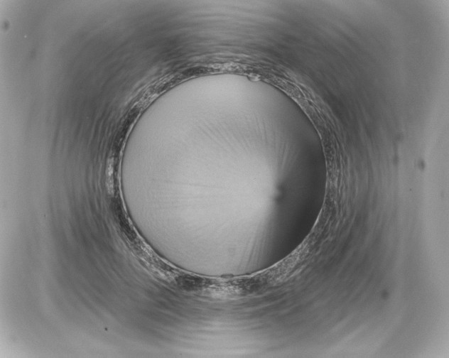 X0000087410696200705111851