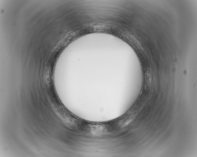 X0000087410698200705111851