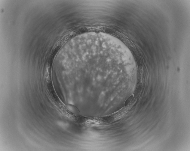 X0000087410699200705111851