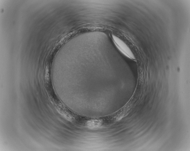 X0000087410700200705111851