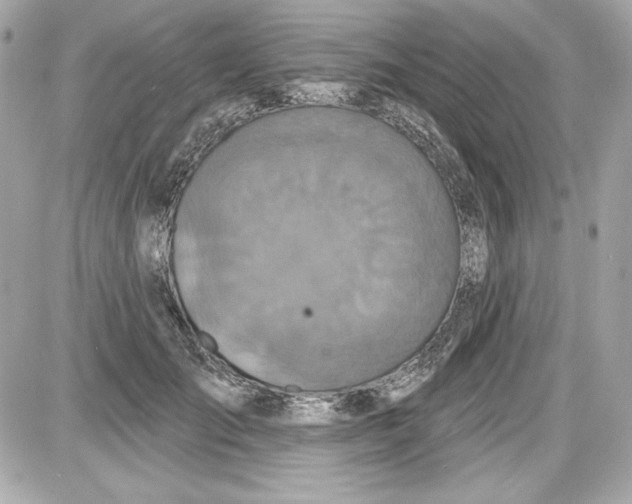 X0000087410701200705111851