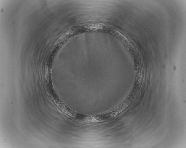 X0000087410704200705111851