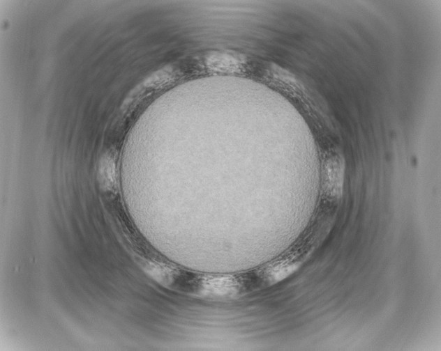 X0000087410705200705111851