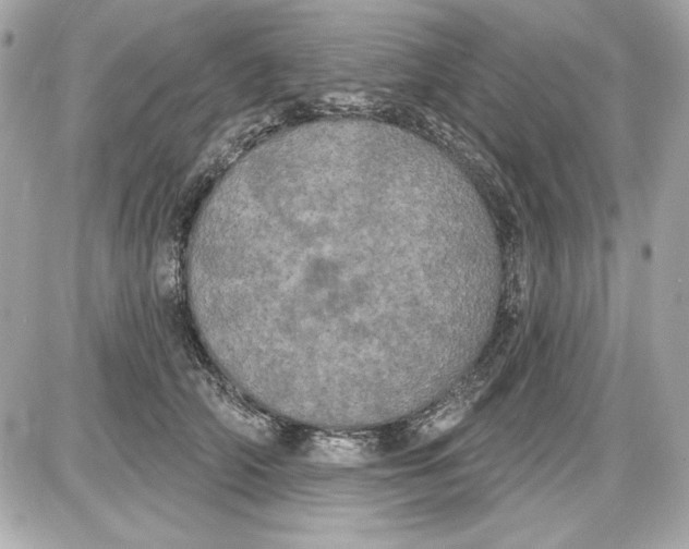 X0000087410706200705111851