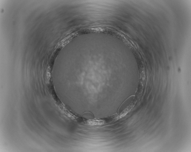 X0000087410707200705111851