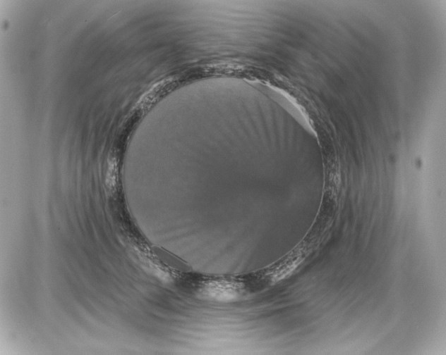 X0000087410708200705111851