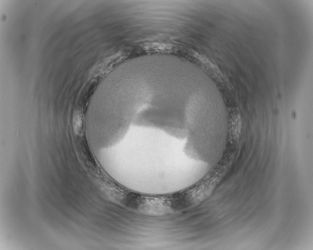 X0000087410709200705111851