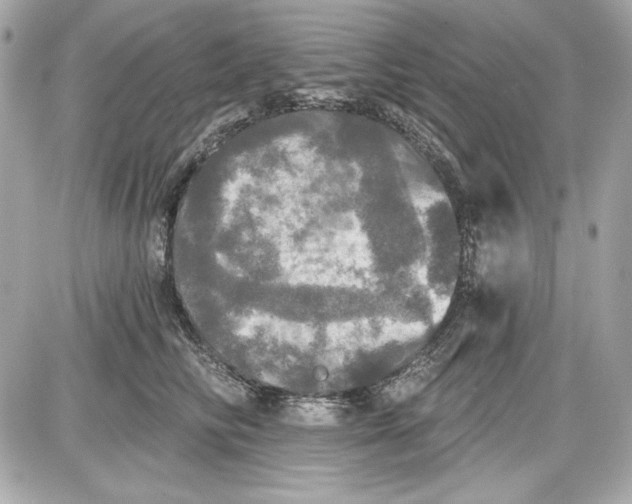 X0000087410710200705111851