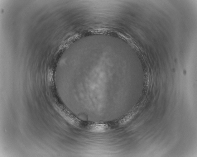 X0000087410711200705111851