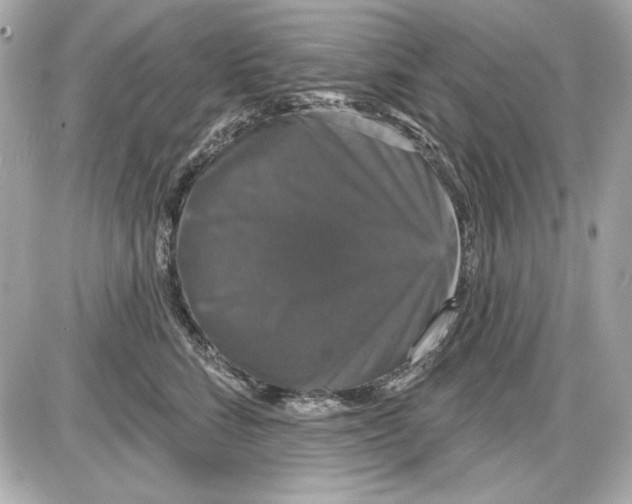 X0000087410712200705111851