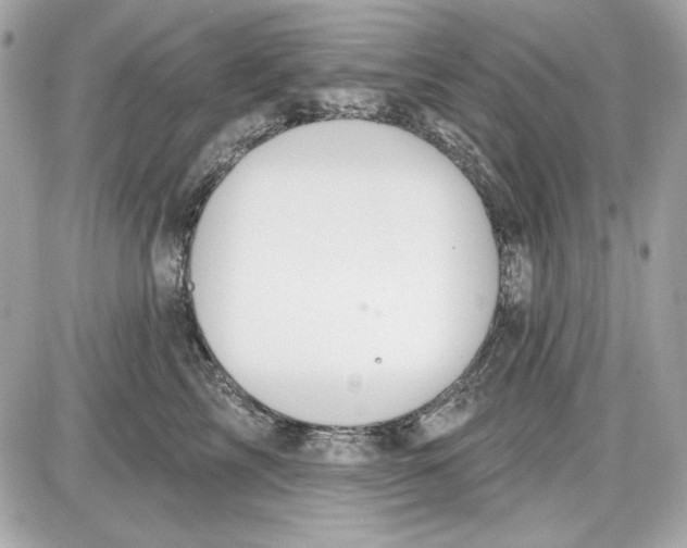 X0000087410713200705111851