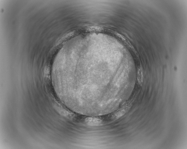 X0000087410714200705111851