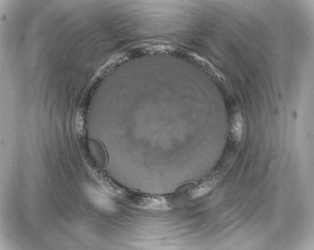 X0000087410715200705111851