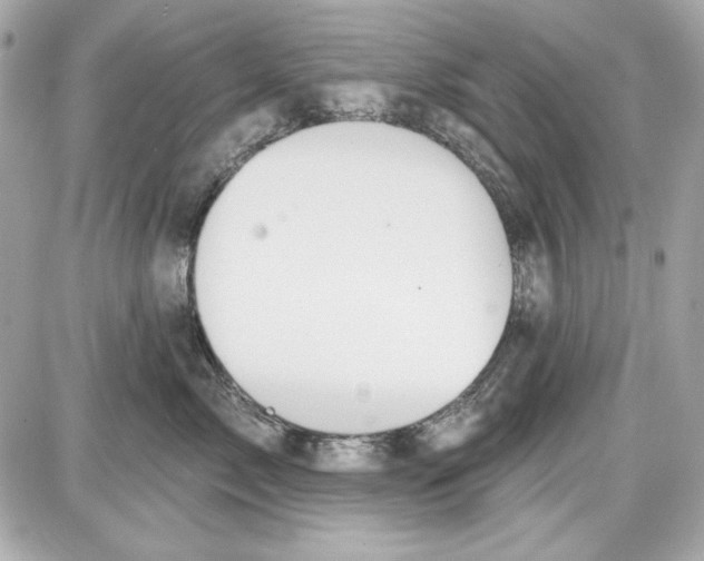 X0000087410717200705111851