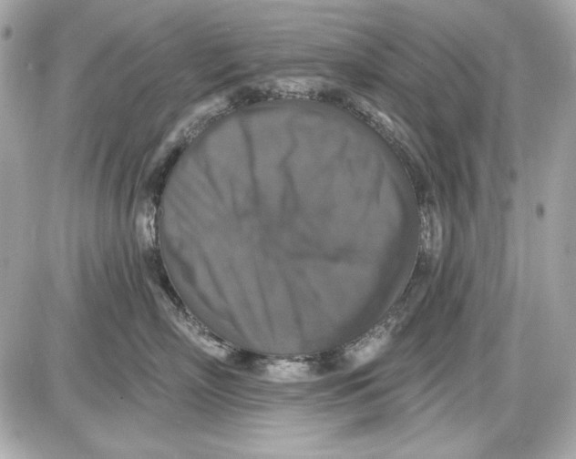 X0000087410718200705111851