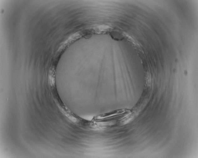 X0000087410719200705111851