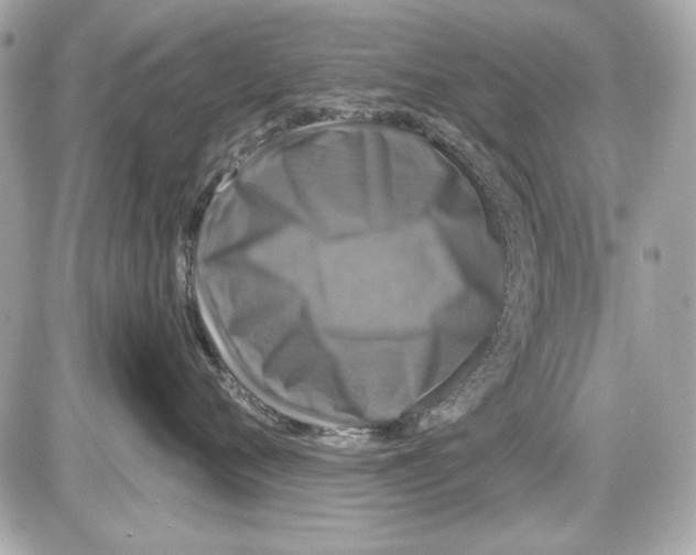 X0000087410720200705111851