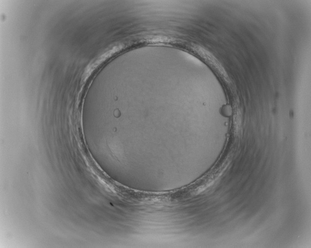 X0000087410721200705111850