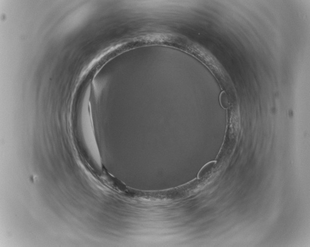 X0000087410722200705111850