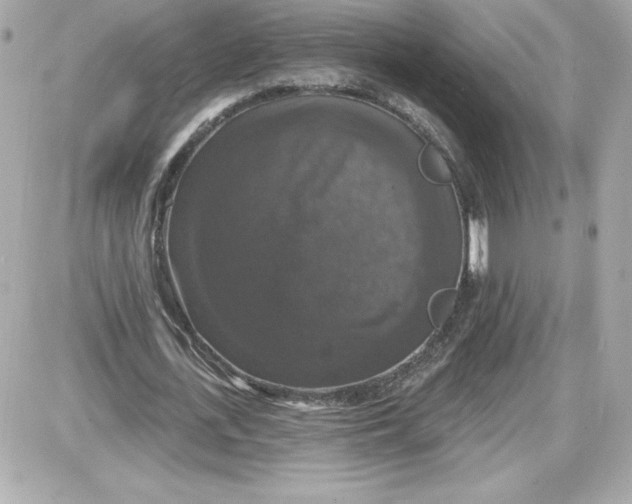 X0000087410723200705111850