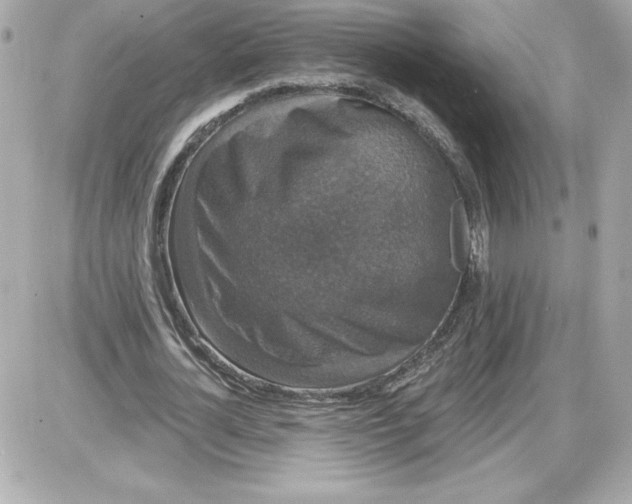 X0000087410724200705111850