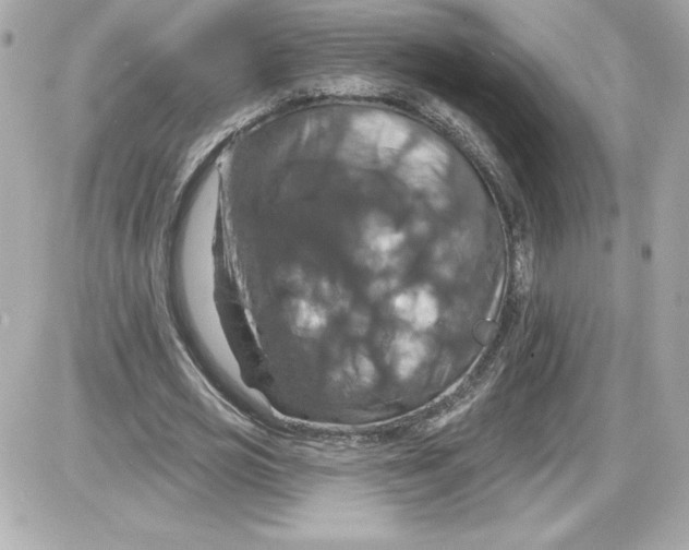 X0000087410725200705111850