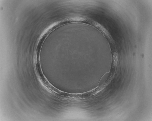 X0000087410726200705111850