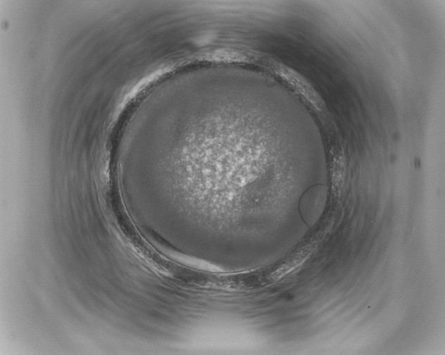 X0000087410727200705111850