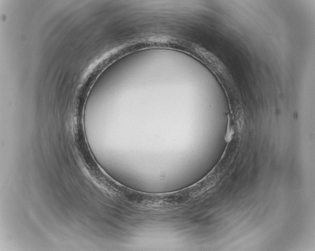 X0000087410728200705111850