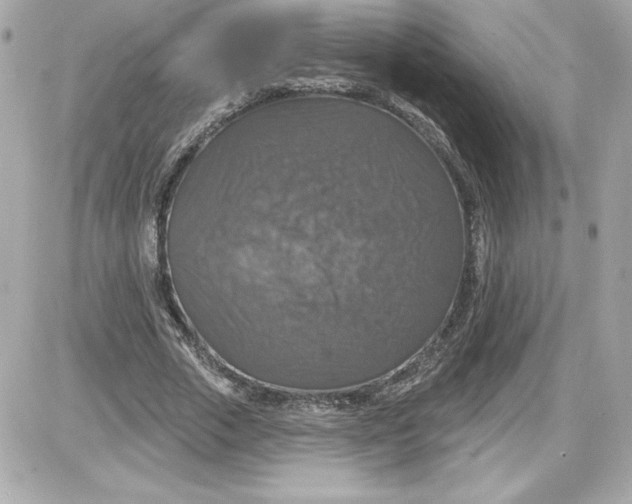 X0000087410729200705111850