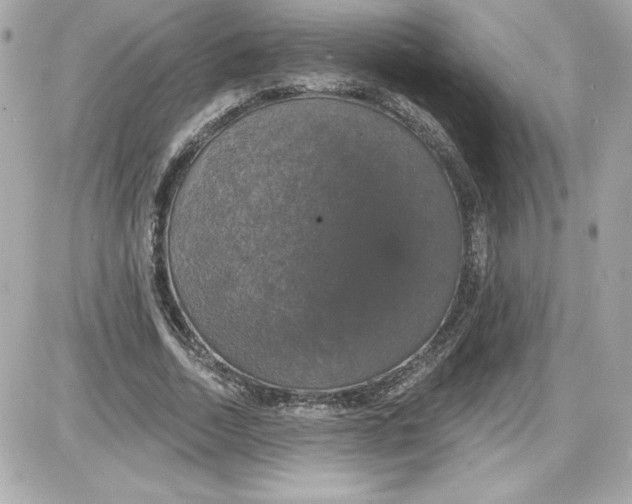 X0000087410730200705111850