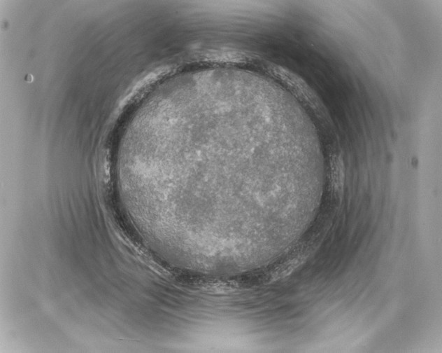 X0000087410731200705111850