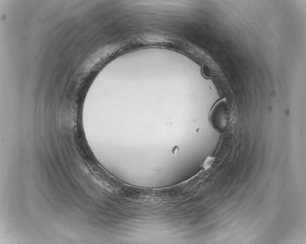 X0000087410732200705111850