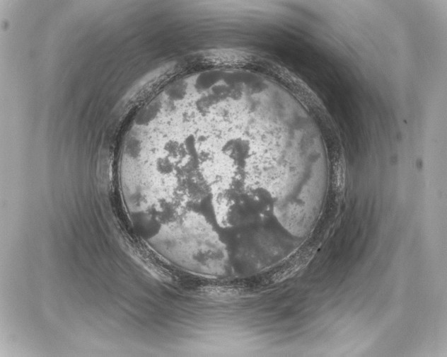 X0000087410733200705111850