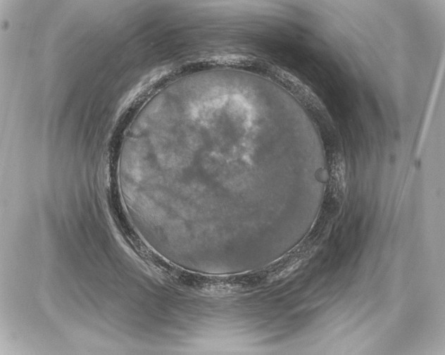 X0000087410734200705111850