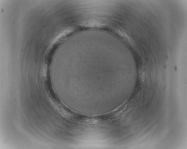 X0000087410735200705111850