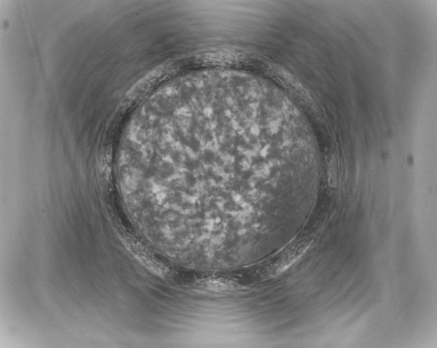 X0000087410737200705111851