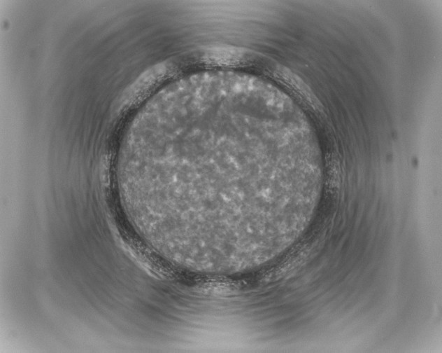 X0000087410738200705111851