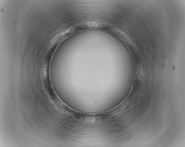 X0000087410740200705111851