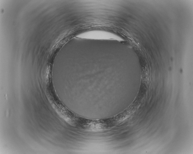 X0000087410742200705111851