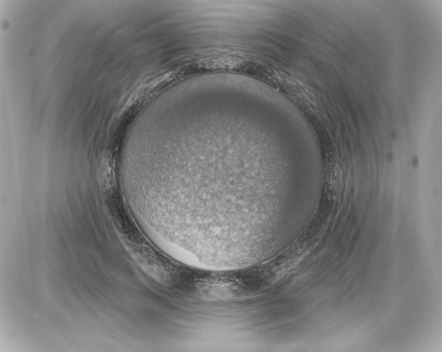 X0000087410743200705111851