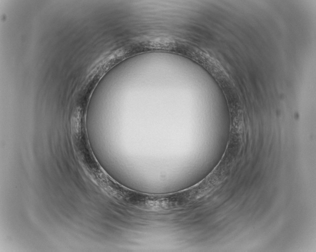 X0000087410744200705111851