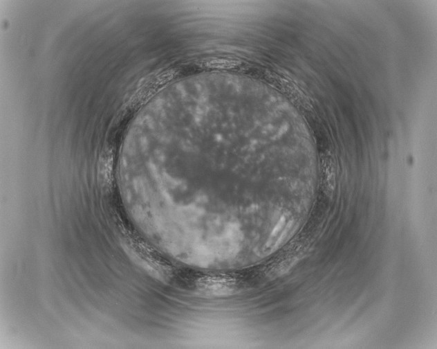 X0000087410745200705111851