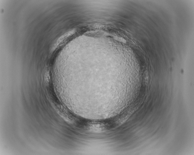 X0000087410746200705111851