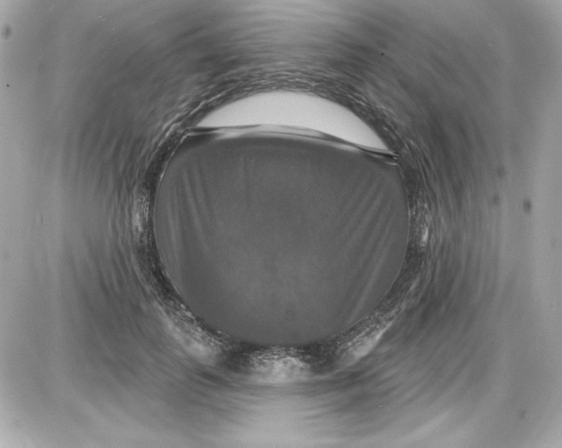 X0000087410747200705111851