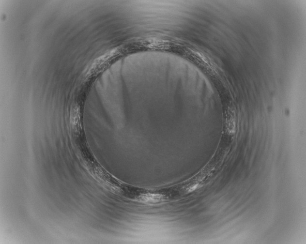 X0000087410748200705111851