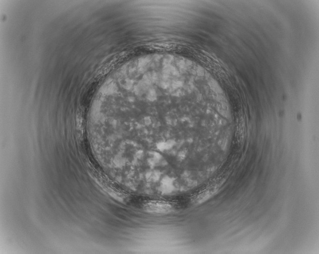 X0000087410749200705111851