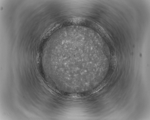 X0000087410750200705111851