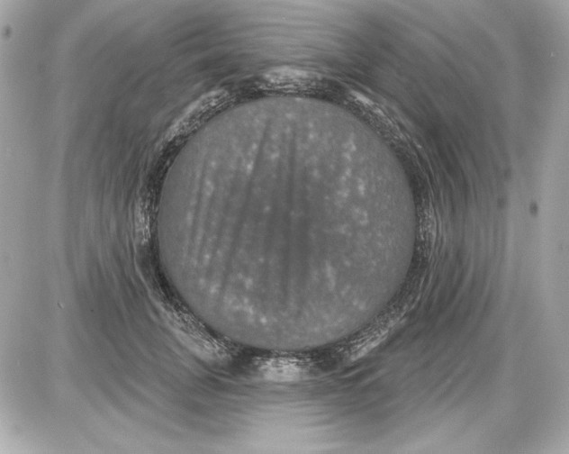 X0000087410751200705111851