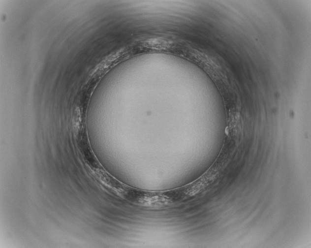 X0000087410752200705111851